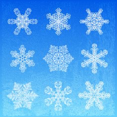 Snowflakes N9