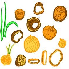 Hand drawn onion doodle N2