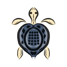 Funny sketch of tortoise for your design