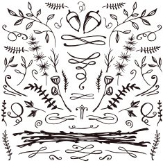Hand-drawn set of florals and flourishes