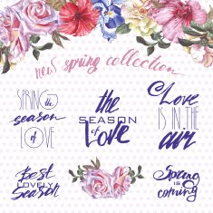 spring labels N3