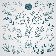 Hand drawn design elements N25
