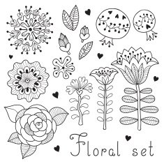 Set of floral elements isolated for your design