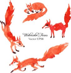 set of watercolor foxes