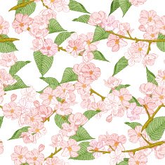 Seamless pattern with spring flowers Apple and cherry blossom