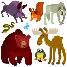 Cartoon Forest Animals Set N2