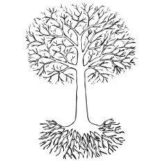 Sketch of Tree with roots