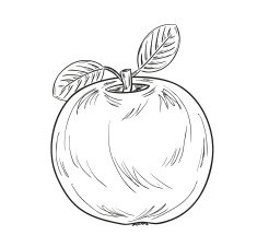 Apple sketch N5