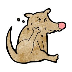 Cartoon Dog Scratching N20