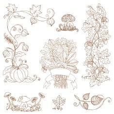 Vector set of decorative Autumn branches