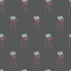 Old vintage camera Seamless Background Vector illustration N4