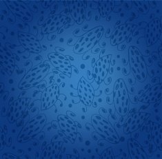 Ethnic blue seamless pattern Background stylish texture