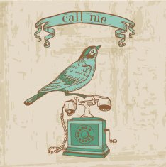 Vintage Telephone with a Bird N2