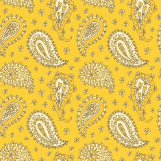Paisley seamless pattern N34