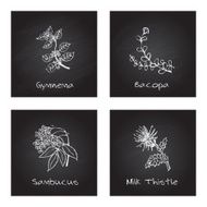 Handdrawn Illustration - Health and Nature Set N47