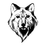 Marker hand-drawn forest animals wolf