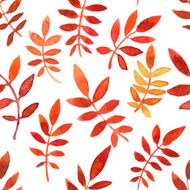 vector seamless pattern with red leaves N3