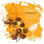 Honey background with hand drawn sketch illustration N12