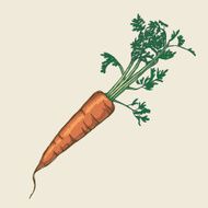 Carrot N5
