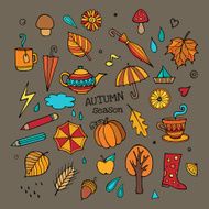 Vector set of different autumn element
