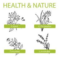 Handdrawn Set - Health and Nature Collection of Medicine Herbs N7