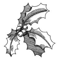 Holly Twig Christmas Decoration Drawing