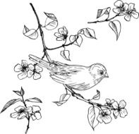 linear drawing bird at branch