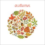 Vector autumn composition circle Leaf branches berries acorn