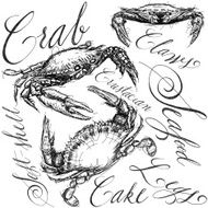 crab sketches