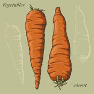 carrot colour