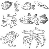 Sea animal illustration in black and white