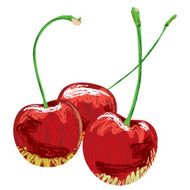 Sweet cherry