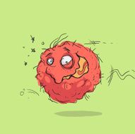CRAZY MEATBALL