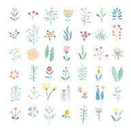 Hand Drawn vintage floral elements Flowers leaves branches berries Isolated N4