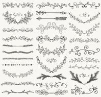 Vector Black Hand Drawn Dividers Branches Swirls N2