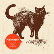 Halloween hand drawn illustration N7