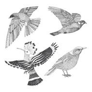 abstract hand drawn birds