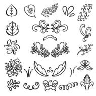 Set hand drawn black lines leaves waves
