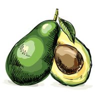Fresh Avocado
