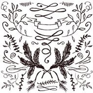 Hand-drawn set of florals and flourishes N2