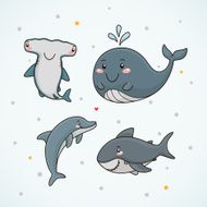 Dolphin shark whale