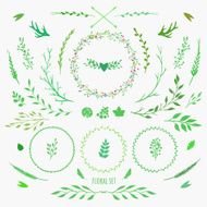Set of floral elements N10