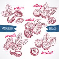 Set with nuts N2