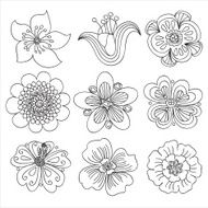Flower collection N5
