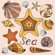 Set with shells