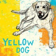 Yellow dog N2