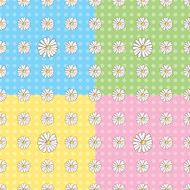 Seamless Daisy Pattern