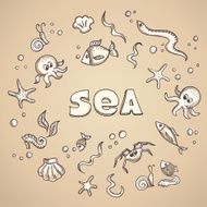 Sea life elements N4