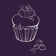 vanilla muffin with blueberries N2