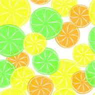 Citrus doodle style background